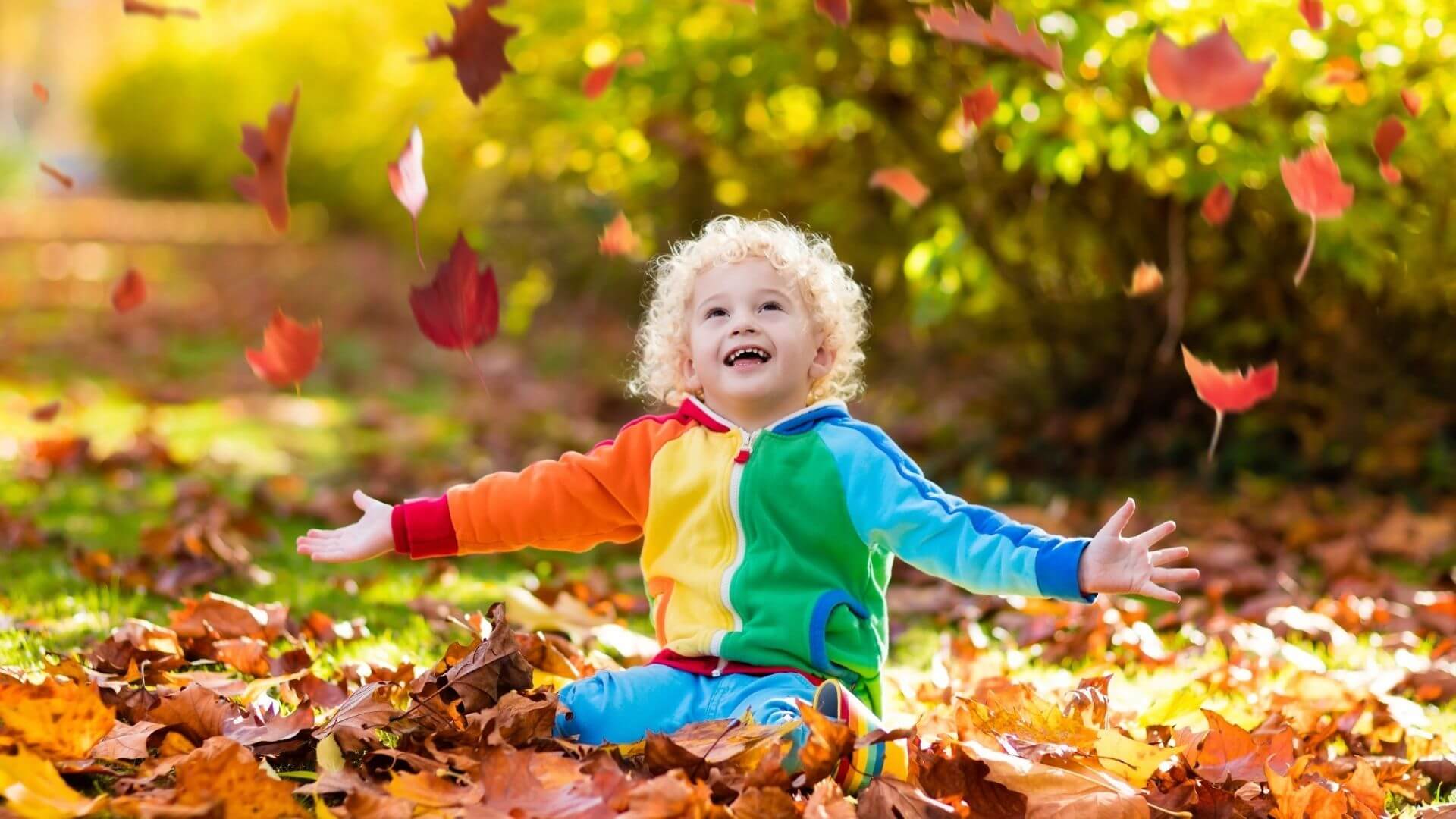 Why Do Leaves Change Color In The Fall Experiment