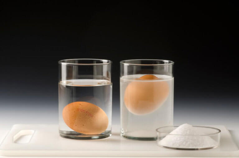 What Floats in Water? Science For Kids My STEM Toys