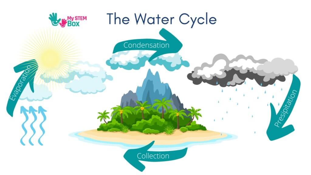 the water cycle