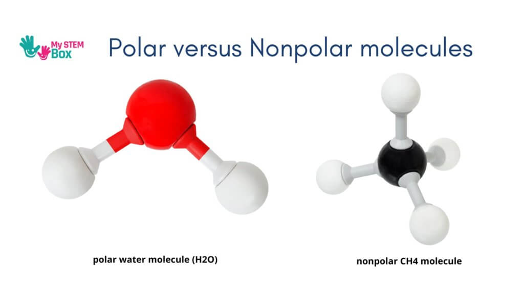 why do oil and water not mix - molecule structure